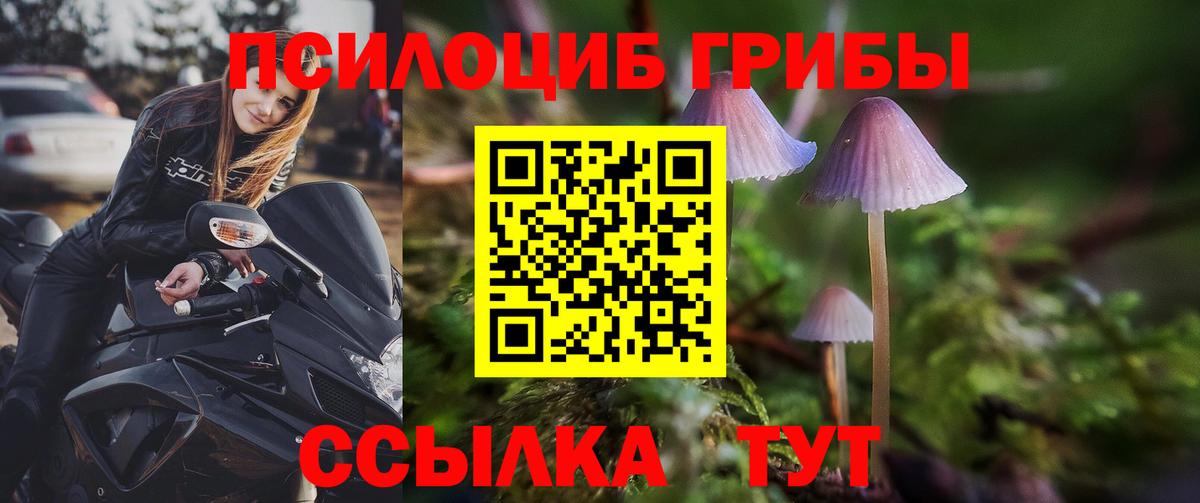 Галлюциногенные грибы Cubensis Саянск